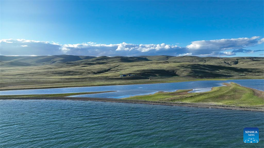 China descobre pedra gravada da dinastia Qin em altitude máxima no Planalto Qinghai-Tibete