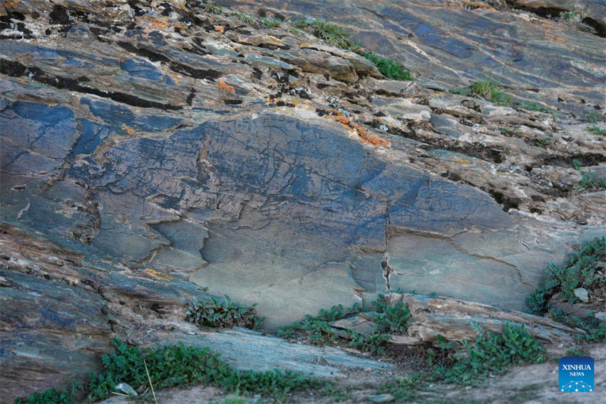 China descobre pedra gravada da dinastia Qin em altitude máxima no Planalto Qinghai-Tibete
