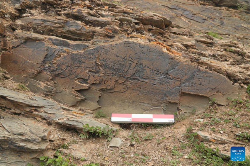 China descobre pedra gravada da dinastia Qin em altitude máxima no Planalto Qinghai-Tibete