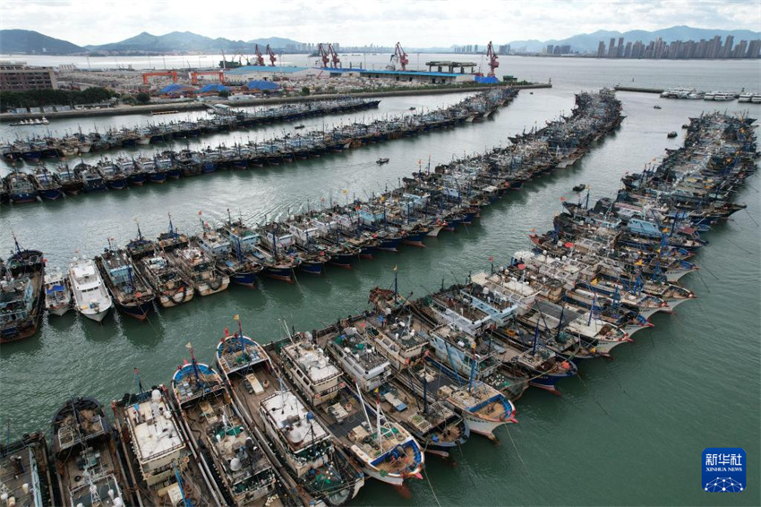Barcos de pesca chegam ao porto e tripulantes desembarcam em preparo para Tuf?o Ragasa