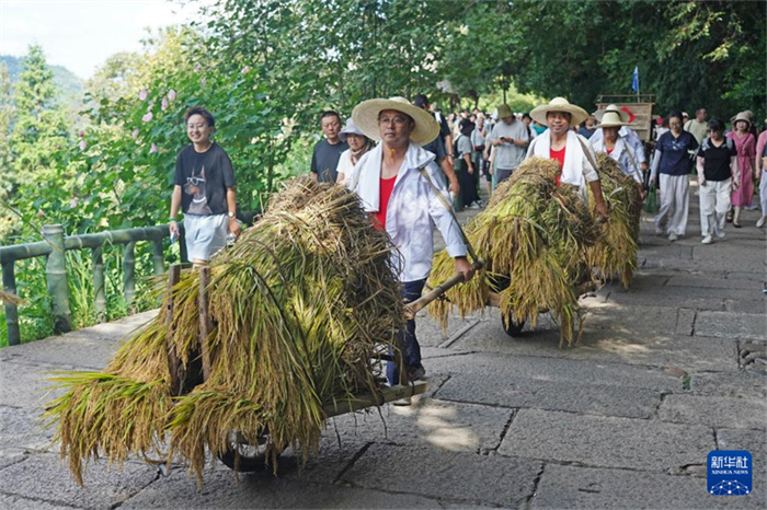 China celebra o 8o Festival de Safra