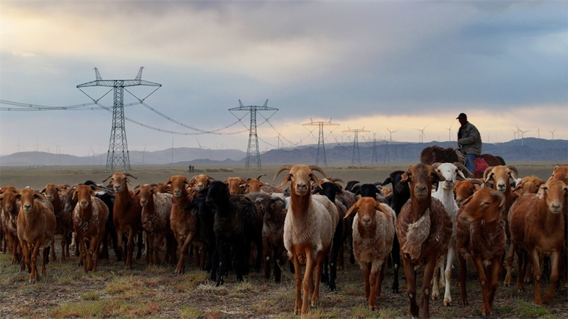 Xinjiang transforma desertos em mina de ouro de energia renovável