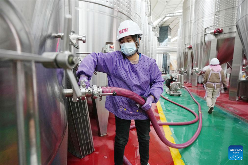 Ningxia: vila de Minning prospera em meio à transforma??o ecológica