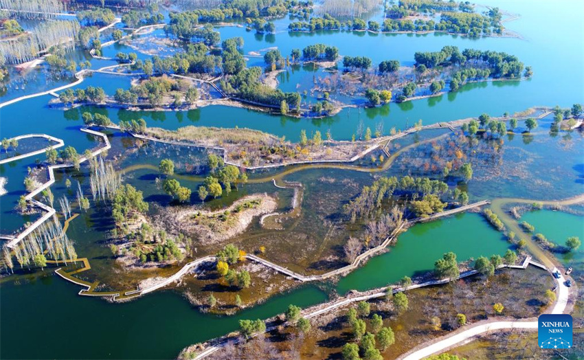 Galeria: paisagem outonal em toda a China