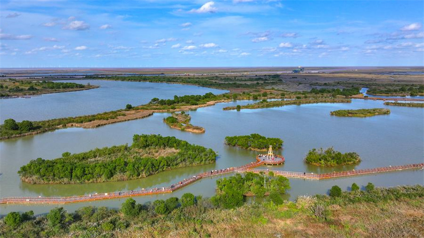 Testemunhando a constru??o de belas baías em Shandong, no leste da China