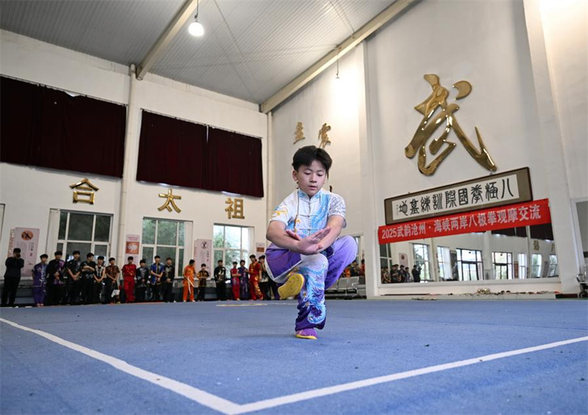 Estrada ao longo do Grande Canal em Hebei impulsiona desenvolvimento regional