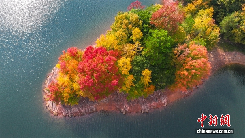 Galeria: Cores vibrantes da Ilhas do Lago das Mil Ilhas em Zhejiang, leste da China