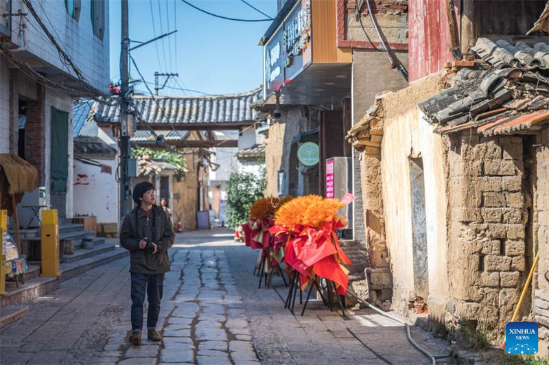 Jovem herdeira revive antiga arte de gatos guardi?es no sudoeste da China