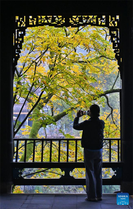 Vis?o detalhada do sistema de irriga??o de Dujiangyan em Chengdu, China