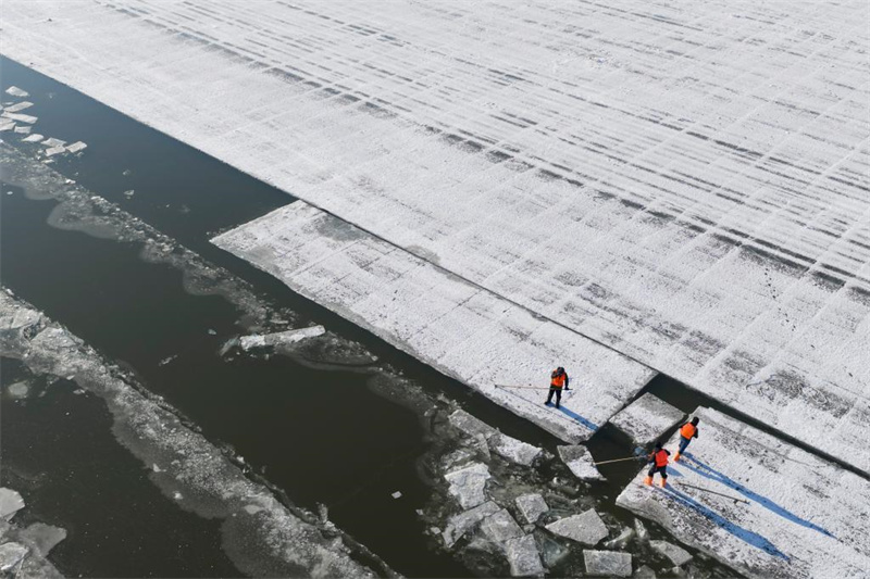 Coleta de gelo decorre na 