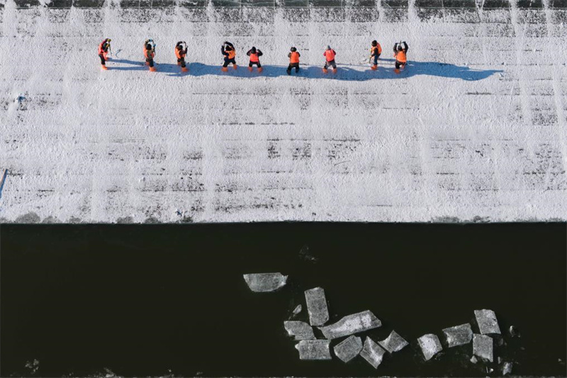 Coleta de gelo decorre na 